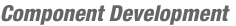 comp_development
