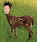 Topcoder profile picture for @Suddenly